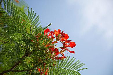 真爱粉！Steam有玩家在一款游戏中时长超过15000小时